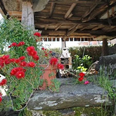 Casa Alicia Casa vacanze
